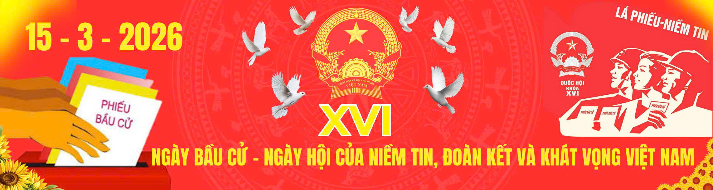 Bầu cử